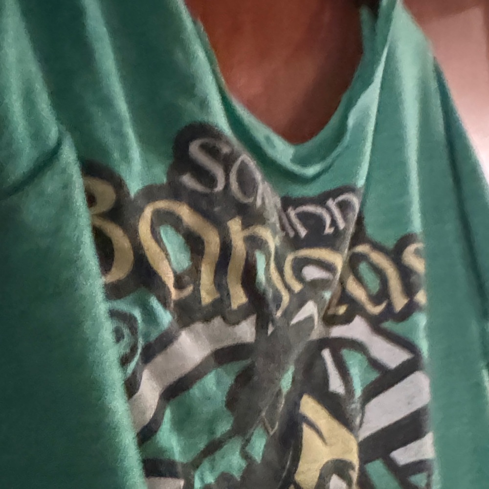 Savannah Bananas Graphic Tee - Picture 6 of 11